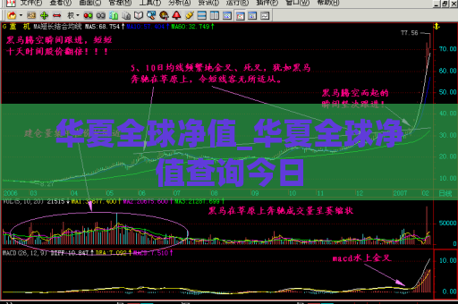 华夏全球净值_华夏全球净值查询今日  第1张