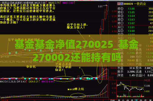 基金基金净值270025_基金270002还能持有吗  第1张