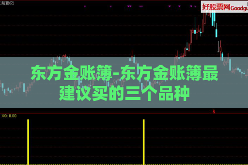 东方金账簿-东方金账簿最建议买的三个品种  第1张