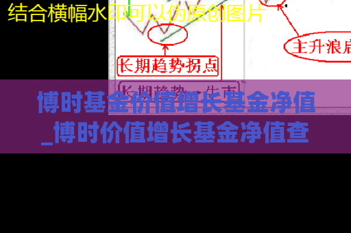 博时基金价值增长基金净值_博时价值增长基金净值查询05  第1张