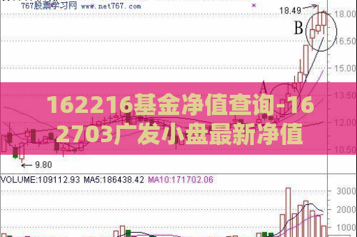 162216基金净值查询-162703广发小盘最新净值  第1张