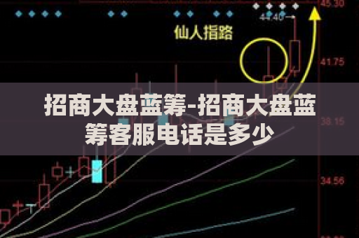 招商大盘蓝筹-招商大盘蓝筹客服电话是多少