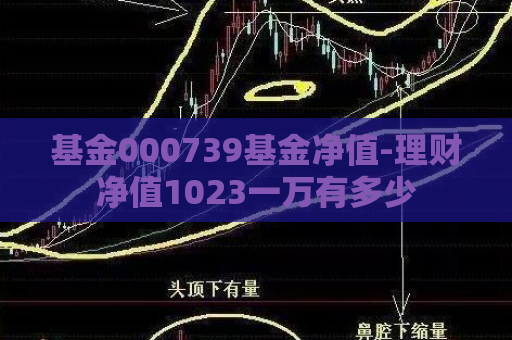 基金000739基金净值-理财净值1023一万有多少  第1张