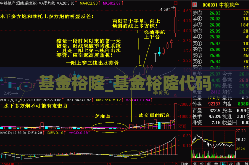 基金裕隆_基金裕隆代码