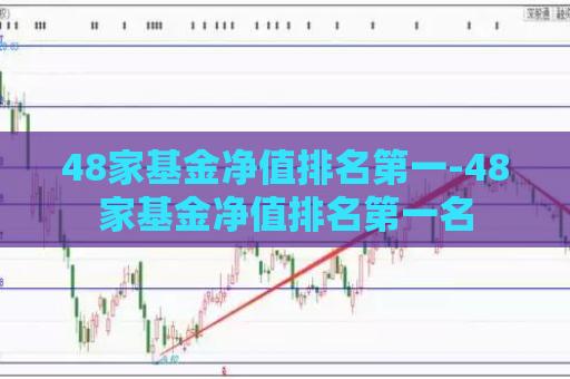 48家基金净值排名第一-48家基金净值排名第一名  第1张