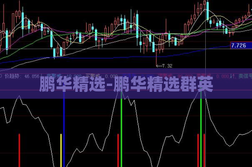 鹏华精选-鹏华精选群英  第1张