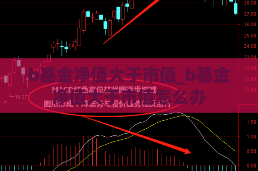 b基金净值大于市值_b基金净值大于市值怎么办  第1张