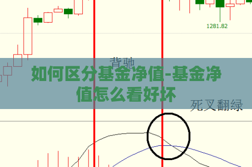 如何区分基金净值-基金净值怎么看好坏  第1张