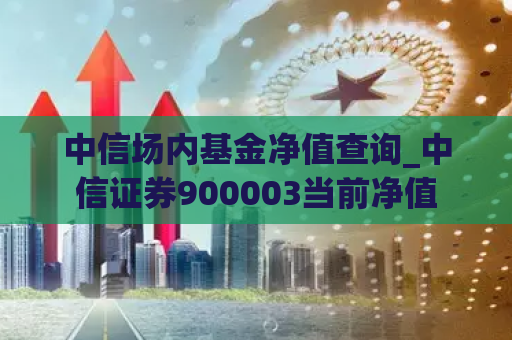 中信场内基金净值查询_中信证券900003当前净值  第1张