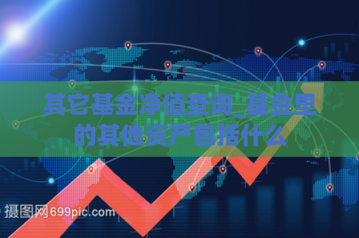 其它基金净值查询_基金里的其他资产包括什么  第1张