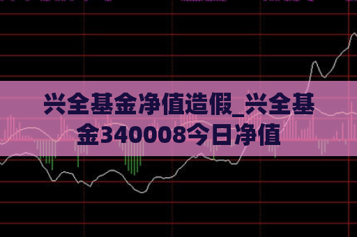 兴全基金净值造假_兴全基金340008今日净值  第1张