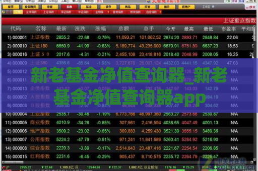 新老基金净值查询器_新老基金净值查询器app  第1张