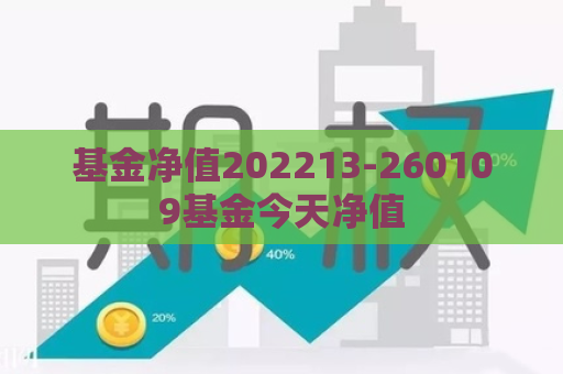 基金净值202213-260109基金今天净值  第1张