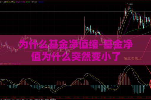 为什么基金净值缩-基金净值为什么突然变小了  第1张