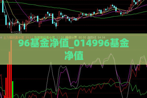 96基金净值_014996基金净值