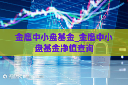 金鹰中小盘基金_金鹰中小盘基金净值查询