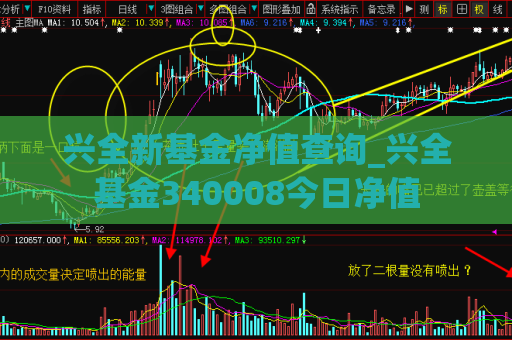 兴全新基金净值查询_兴全基金340008今日净值  第1张