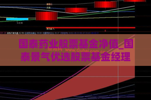 国泰药业股票基金净值_国泰景气优选股票基金经理  第1张