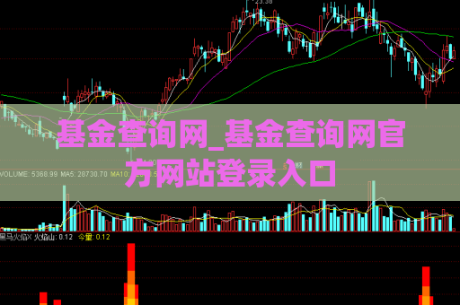 基金查询网_基金查询网官方网站登录入口  第1张