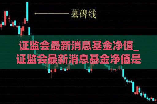 证监会最新消息基金净值_证监会最新消息基金净值是多少  第1张