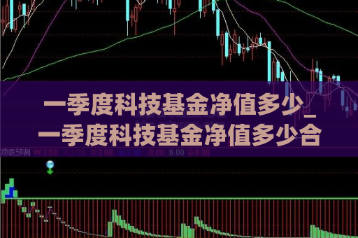 一季度科技基金净值多少_一季度科技基金净值多少合适  第1张