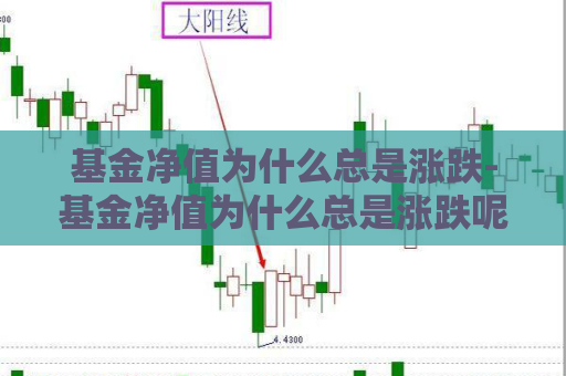 基金净值为什么总是涨跌-基金净值为什么总是涨跌呢