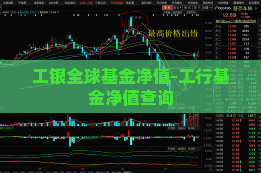 工银全球基金净值-工行基金净值查询  第1张