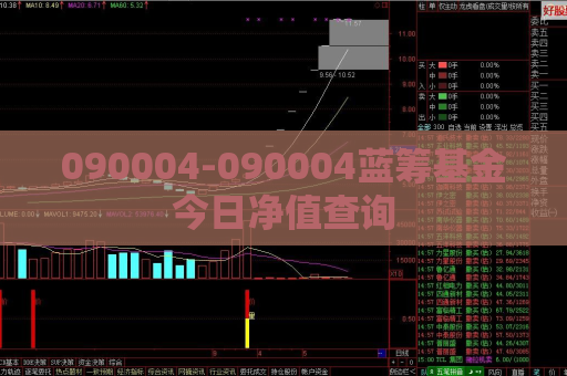 090004-090004蓝筹基金今日净值查询