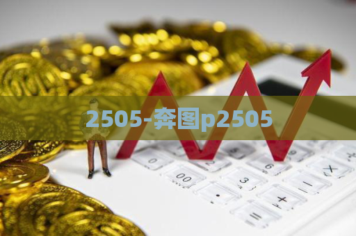 2505-奔图p2505  第1张