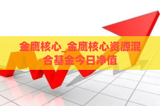 金鹰核心_金鹰核心资源混合基金今日净值  第1张