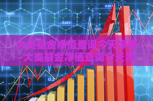 大类基金净值查询今天净值-大类基金净值查询今天净值怎么查