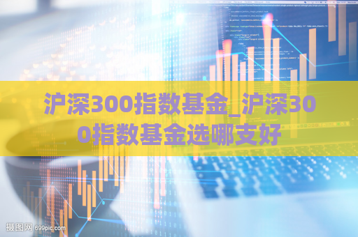 沪深300指数基金_沪深300指数基金选哪支好  第1张