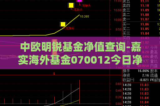 中欧明锐基金净值查询-嘉实海外基金070012今日净值查询  第1张