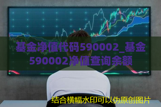 基金净值代码590002_基金590002净值查询余额  第1张