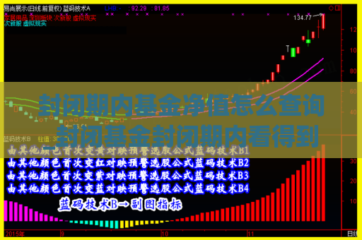 封闭期内基金净值怎么查询_封闭基金封闭期内看得到净值吗