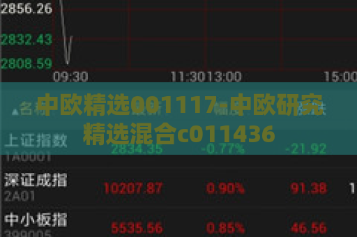 中欧精选001117-中欧研究精选混合c011436
