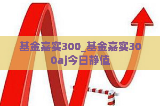 基金嘉实300_基金嘉实300aj今日静值