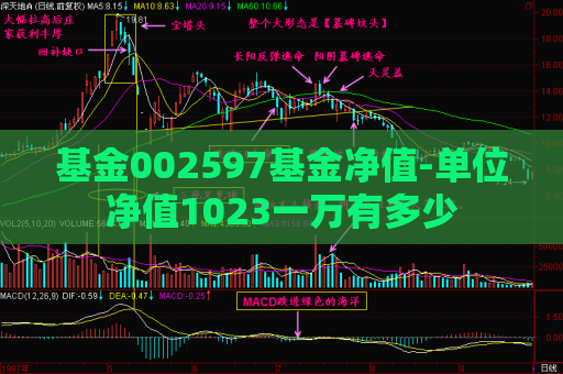 基金002597基金净值-单位净值1023一万有多少  第1张