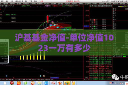 沪基基金净值-单位净值1023一万有多少  第1张