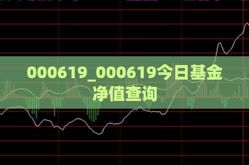 000619_000619今日基金净值查询