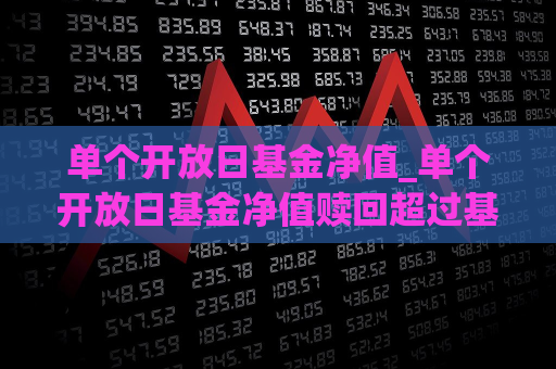 单个开放日基金净值_单个开放日基金净值赎回超过基金总额10%  第1张