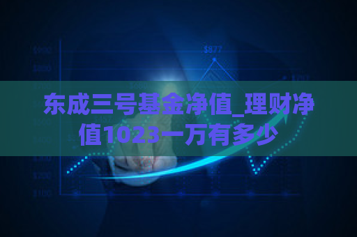 东成三号基金净值_理财净值1023一万有多少