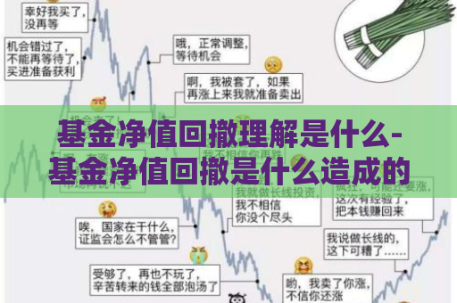 基金净值回撤理解是什么-基金净值回撤是什么造成的