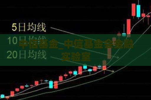 中信基金_中信基金会金融实验室