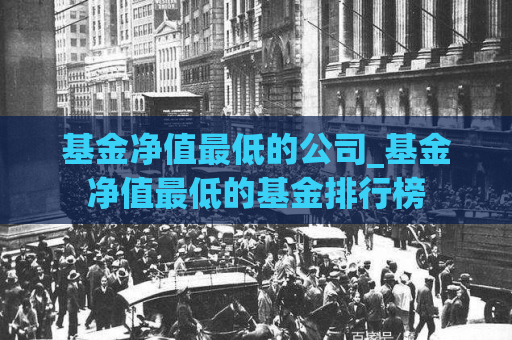 基金净值最低的公司_基金净值最低的基金排行榜  第1张