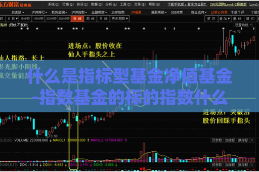 什么是指标型基金净值基金-指数基金的标的指数什么意思