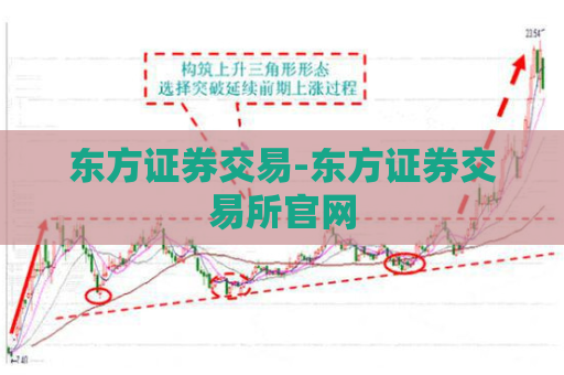 东方证券交易-东方证券交易所官网  第1张