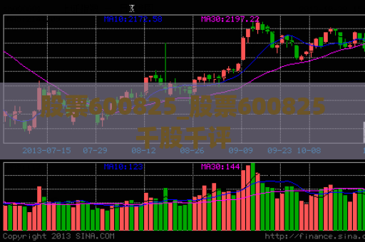 股票600825_股票600825千股千评