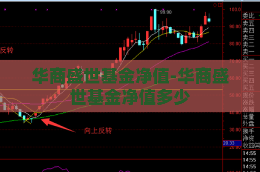 华商盛世基金净值-华商盛世基金净值多少