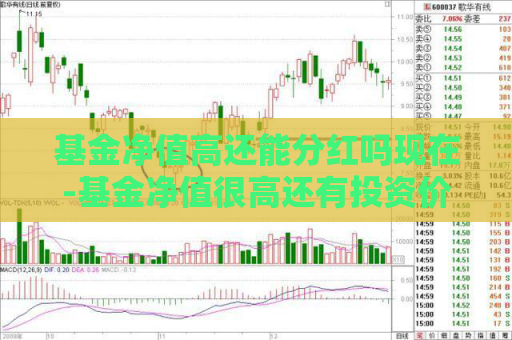 基金净值高还能分红吗现在-基金净值很高还有投资价值吗  第1张